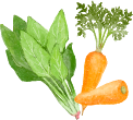 野菜イラスト