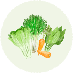 近江野菜